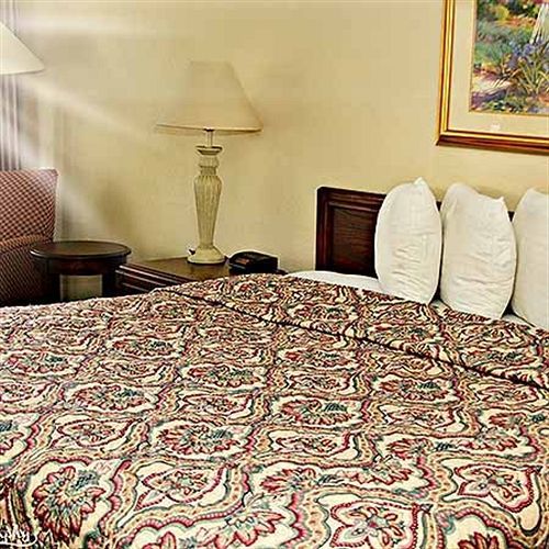 Rodeway Inn 奥兰治帕克 外观 照片